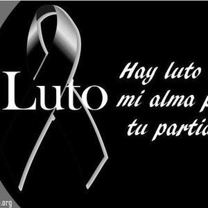 Meet your Posher, Fredi